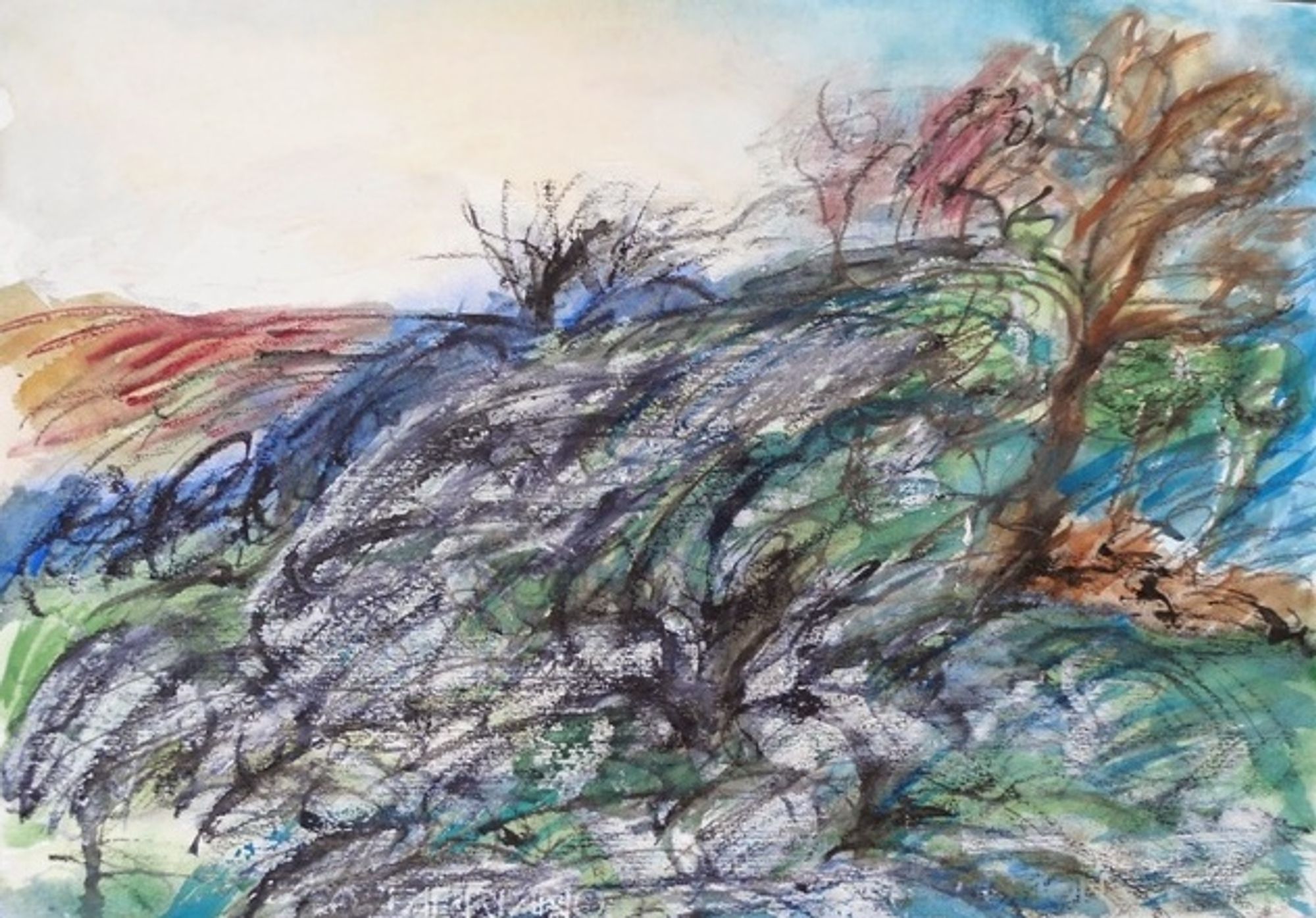 Alberi sulla collina