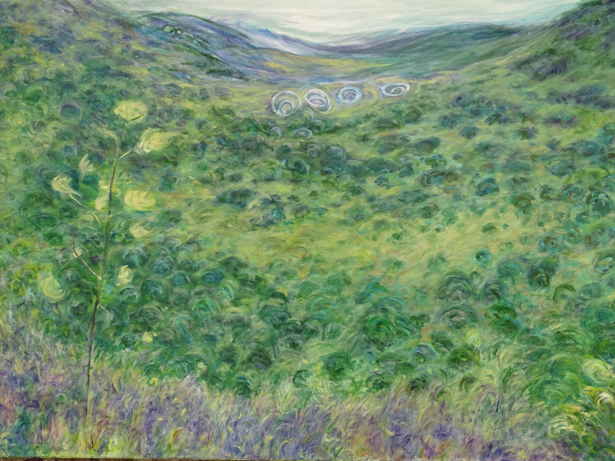 Astronavi sulla Sierra