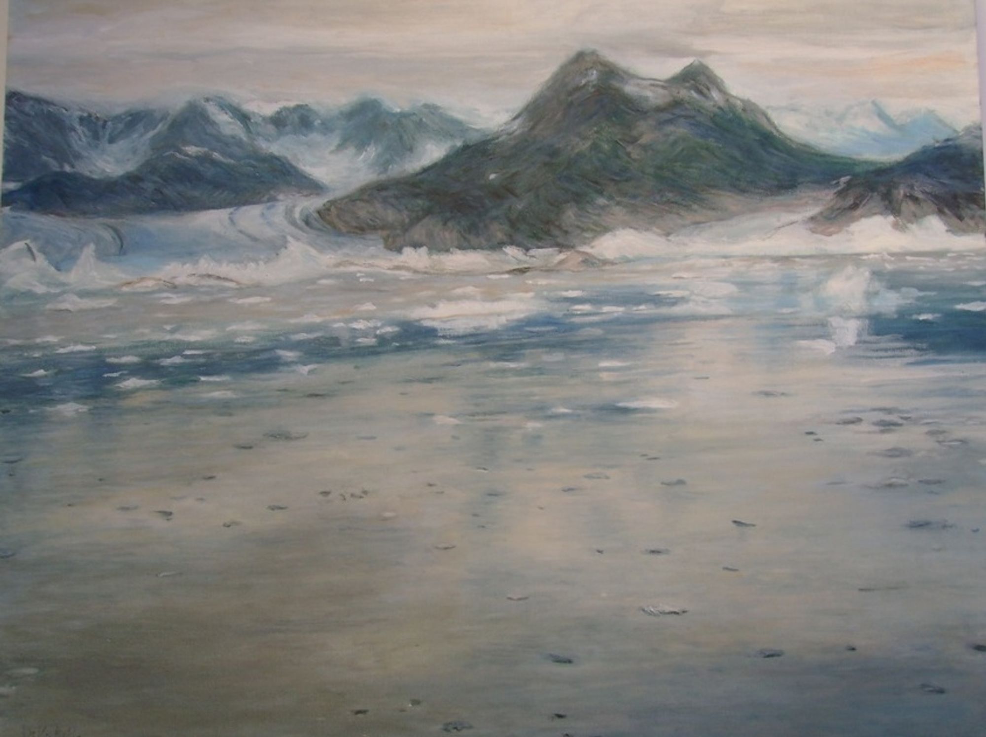 Crociera tra i ghiacci