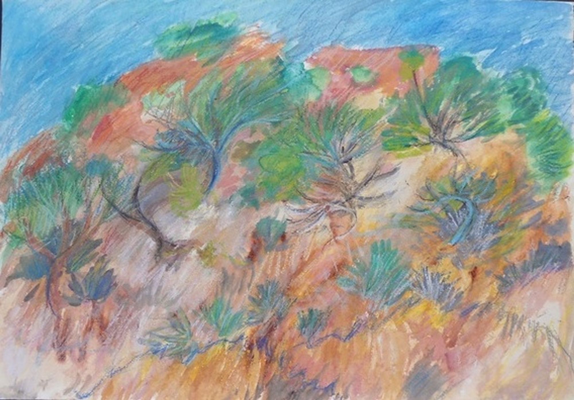 Macchia mediterranea